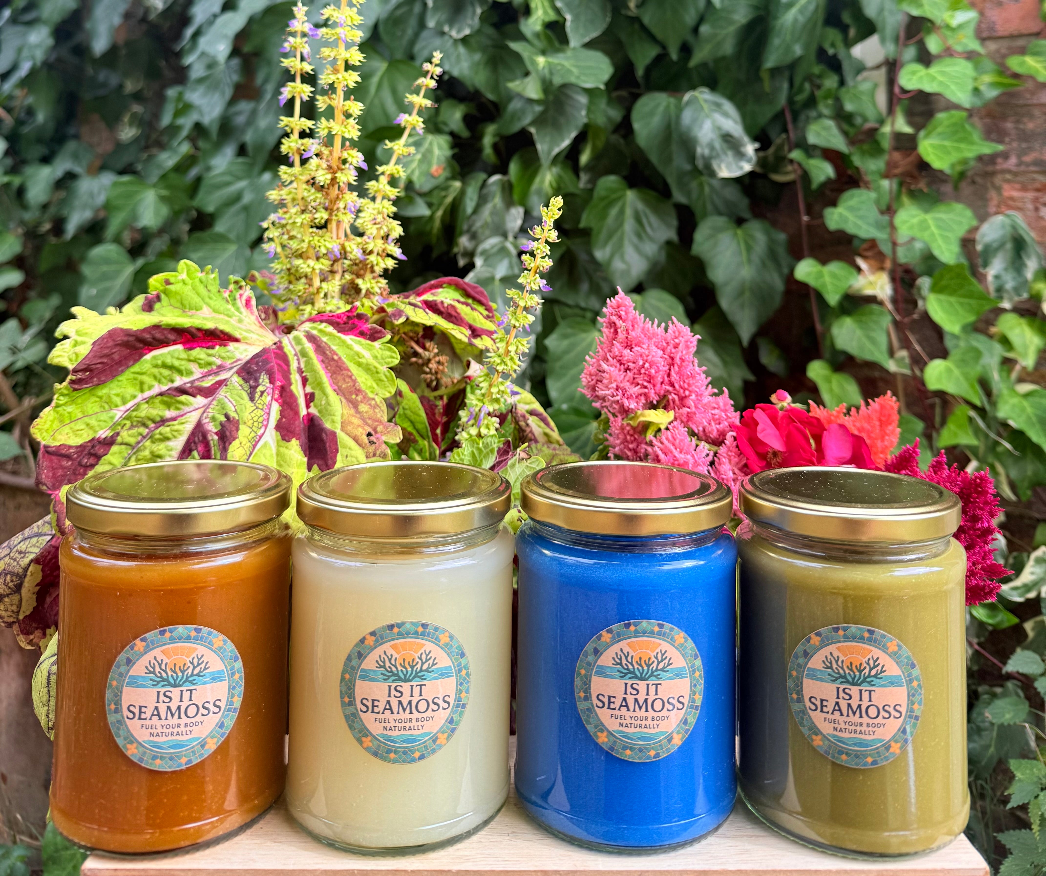 Sea What It’s About